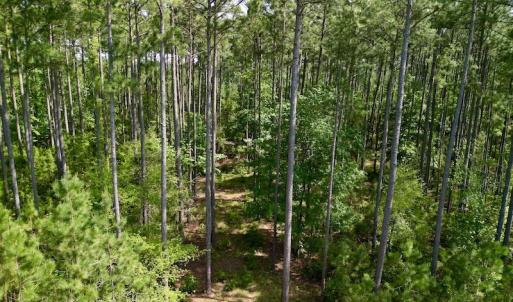Photo #18 of Off State Road 1901, Aurora, NC 8.3 acres