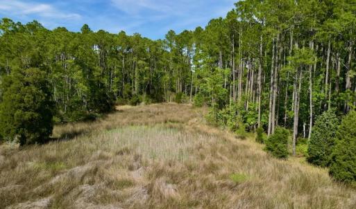 Photo #22 of Off State Road 1901, Aurora, NC 8.3 acres