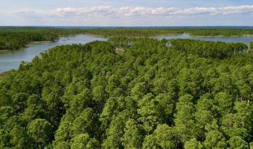 Photo #27 of Off State Road 1901, Aurora, NC 8.3 acres