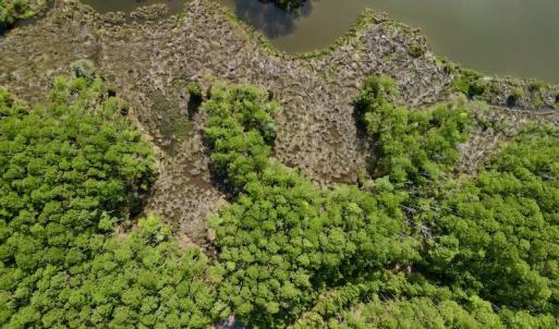 Photo #28 of Off State Road 1901, Aurora, NC 8.3 acres