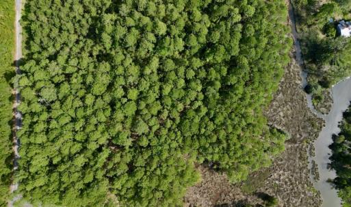 Photo #29 of Off State Road 1901, Aurora, NC 8.3 acres