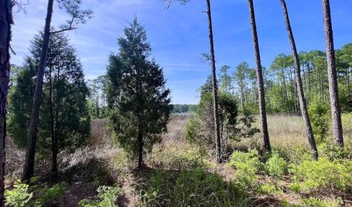 Photo #30 of Off State Road 1901, Aurora, NC 8.3 acres