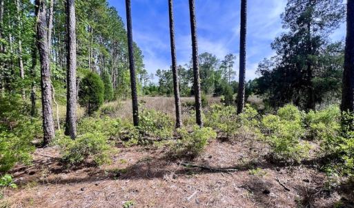 Photo #31 of Off State Road 1901, Aurora, NC 8.3 acres