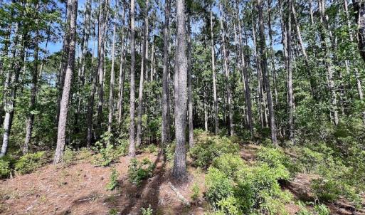 Photo #32 of Off State Road 1901, Aurora, NC 8.3 acres