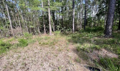Photo #34 of Off State Road 1901, Aurora, NC 8.3 acres