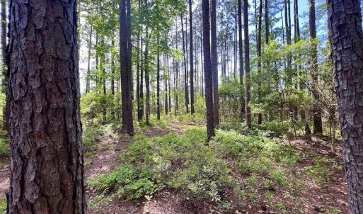 Photo #38 of Off State Road 1901, Aurora, NC 8.3 acres
