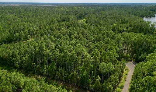 Photo #5 of Off State Road 1901, Aurora, NC 8.3 acres
