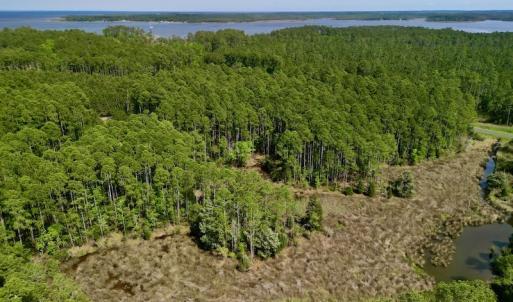 Photo #6 of Off State Road 1901, Aurora, NC 8.3 acres