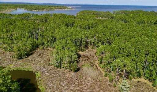 Photo #7 of Off State Road 1901, Aurora, NC 8.3 acres