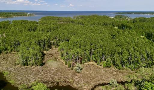 Photo #8 of Off State Road 1901, Aurora, NC 8.3 acres