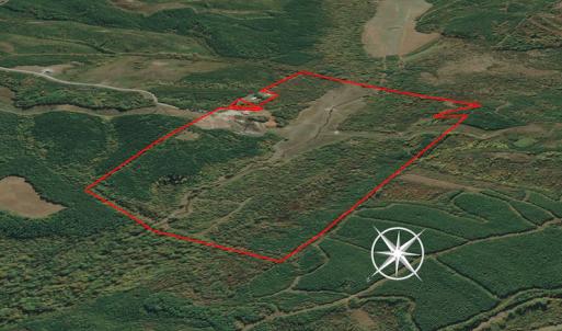 Photo #6 of SOLD property in 930 Lawson Farm Road, Roxboro, NC 176.9 acres