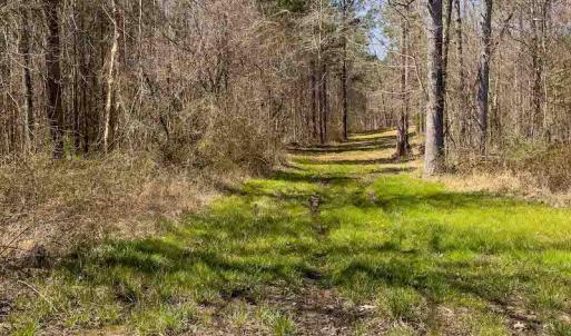 Photo #10 of SOLD property in 930 Lawson Farm Road, Roxboro, NC 176.9 acres