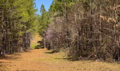 Photo #16 of SOLD property in 930 Lawson Farm Road, Roxboro, NC 176.9 acres