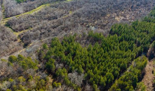 Photo #20 of SOLD property in 930 Lawson Farm Road, Roxboro, NC 176.9 acres