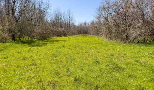 Photo #27 of SOLD property in 930 Lawson Farm Road, Roxboro, NC 176.9 acres