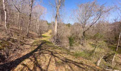 Photo #38 of SOLD property in 930 Lawson Farm Road, Roxboro, NC 176.9 acres
