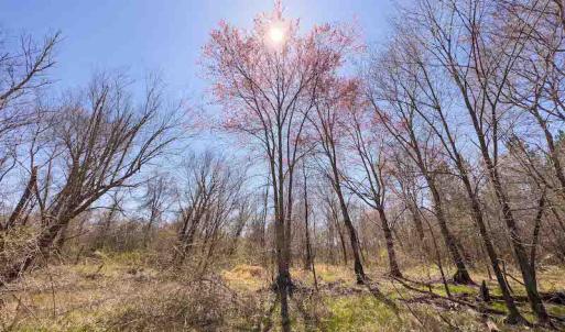 Photo #41 of SOLD property in 930 Lawson Farm Road, Roxboro, NC 176.9 acres