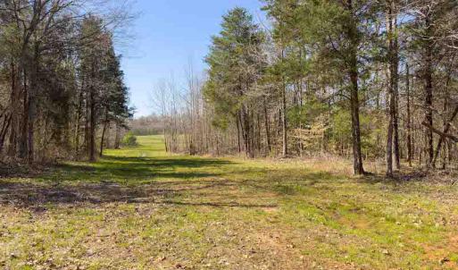 Photo #46 of SOLD property in 930 Lawson Farm Road, Roxboro, NC 176.9 acres