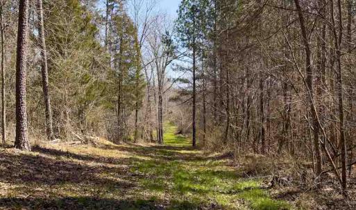 Photo #50 of SOLD property in 930 Lawson Farm Road, Roxboro, NC 176.9 acres