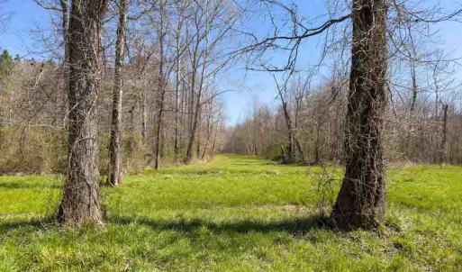 Photo #55 of SOLD property in 930 Lawson Farm Road, Roxboro, NC 176.9 acres