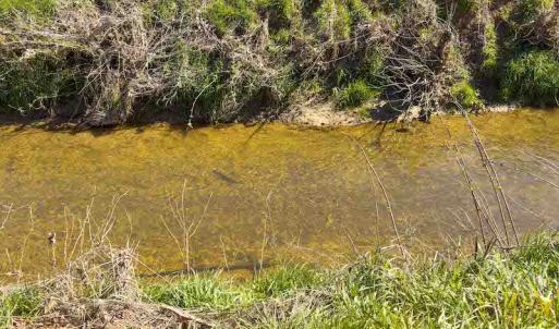 Photo #63 of SOLD property in 930 Lawson Farm Road, Roxboro, NC 176.9 acres