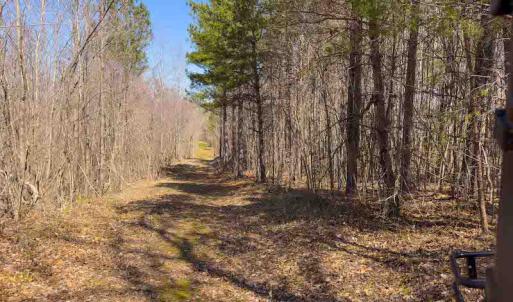 Photo #64 of SOLD property in 930 Lawson Farm Road, Roxboro, NC 176.9 acres