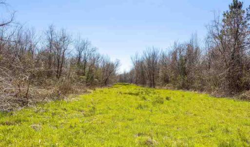 Photo #67 of SOLD property in 930 Lawson Farm Road, Roxboro, NC 176.9 acres