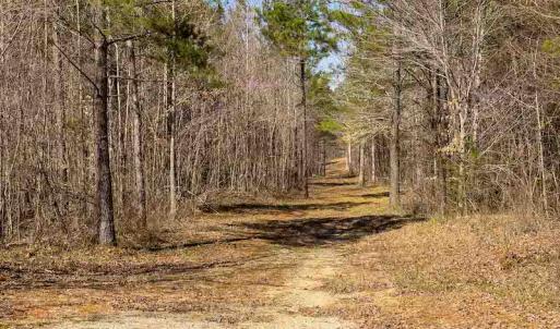 Photo #70 of SOLD property in 930 Lawson Farm Road, Roxboro, NC 176.9 acres