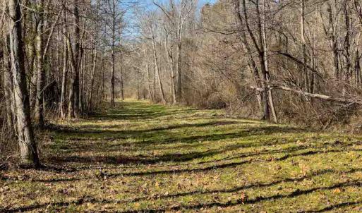 Photo #73 of SOLD property in 930 Lawson Farm Road, Roxboro, NC 176.9 acres