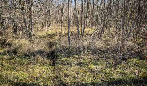 Photo #76 of SOLD property in 930 Lawson Farm Road, Roxboro, NC 176.9 acres
