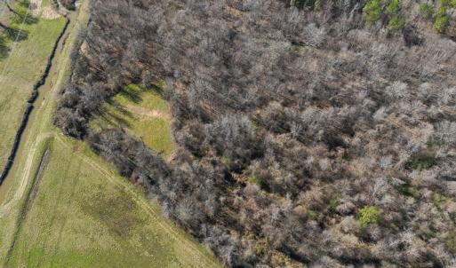 Photo #82 of SOLD property in 930 Lawson Farm Road, Roxboro, NC 176.9 acres