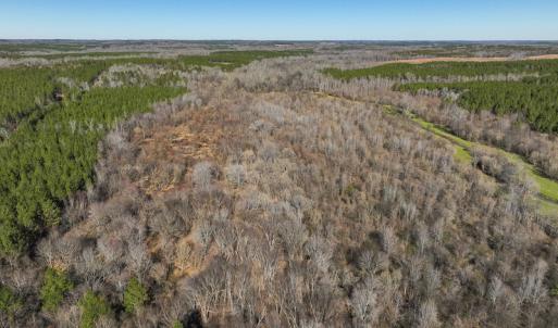 Photo #102 of SOLD property in 930 Lawson Farm Road, Roxboro, NC 176.9 acres