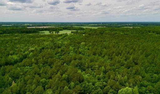 Photo #9 of SOLD property in Off Hwy 903, Snow Hill, NC 115.0 acres
