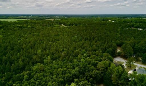 Photo #10 of SOLD property in Off Hwy 903, Snow Hill, NC 115.0 acres
