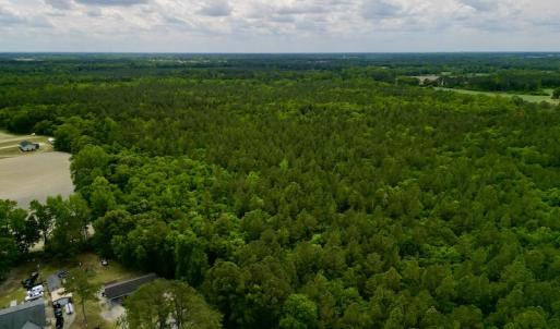 Photo #11 of SOLD property in Off Hwy 903, Snow Hill, NC 115.0 acres
