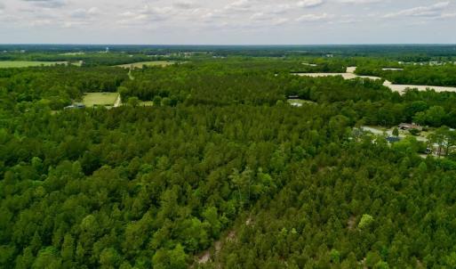 Photo #12 of SOLD property in Off Hwy 903, Snow Hill, NC 115.0 acres