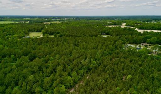Photo #12 of SOLD property in Off Hwy 903, Snow Hill, NC 115.0 acres