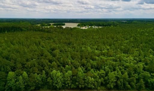 Photo #14 of SOLD property in Off Hwy 903, Snow Hill, NC 115.0 acres