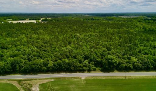 Photo #3 of SOLD property in Off Hwy 903, Snow Hill, NC 115.0 acres