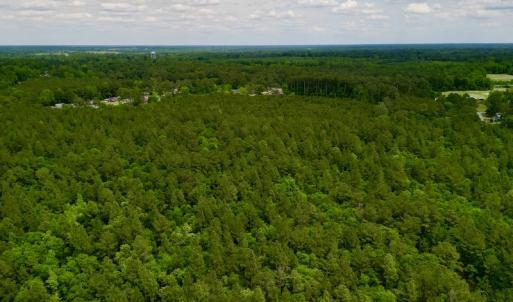 Photo #18 of SOLD property in Off Hwy 903, Snow Hill, NC 115.0 acres