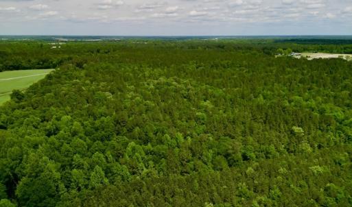 Photo #5 of SOLD property in Off Hwy 903, Snow Hill, NC 115.0 acres