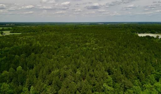 Photo #6 of SOLD property in Off Hwy 903, Snow Hill, NC 115.0 acres