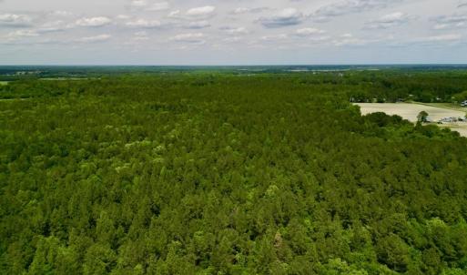 Photo #7 of SOLD property in Off Hwy 903, Snow Hill, NC 115.0 acres