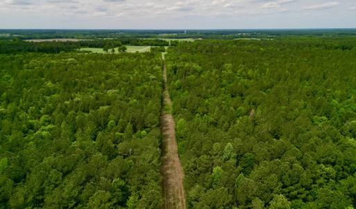 Photo #8 of SOLD property in Off Hwy 903, Snow Hill, NC 115.0 acres