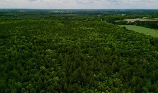 Photo #22 of SOLD property in Off Hwy 903, Snow Hill, NC 115.0 acres