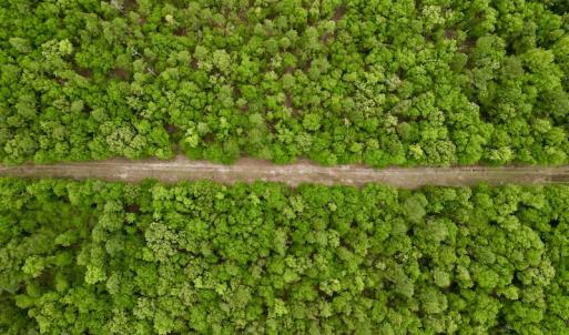 Photo #24 of SOLD property in Off Hwy 903, Snow Hill, NC 115.0 acres