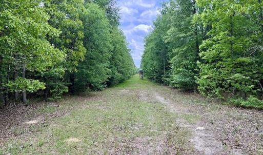 Photo #25 of SOLD property in Off Hwy 903, Snow Hill, NC 115.0 acres