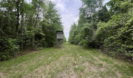 Photo #26 of SOLD property in Off Hwy 903, Snow Hill, NC 115.0 acres