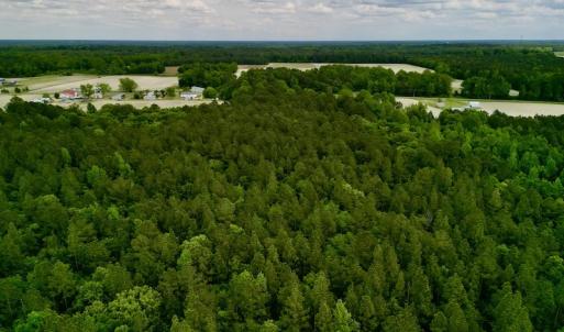 Photo #28 of SOLD property in Off Hwy 903, Snow Hill, NC 115.0 acres