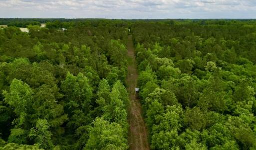 Photo #34 of SOLD property in Off Hwy 903, Snow Hill, NC 115.0 acres